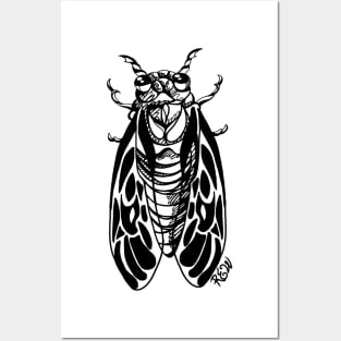 Black Cicada Posters and Art